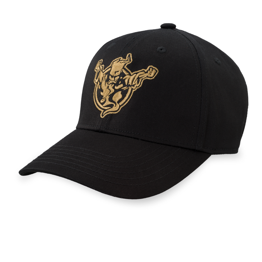 Thunderdome baseball cap black/gold