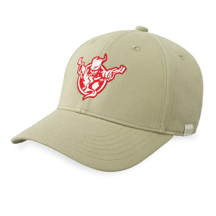 Thunderdome FTS Baseball cap