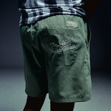 Thunderdome FTS Shorts image