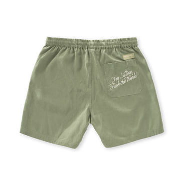Thunderdome FTS Shorts image