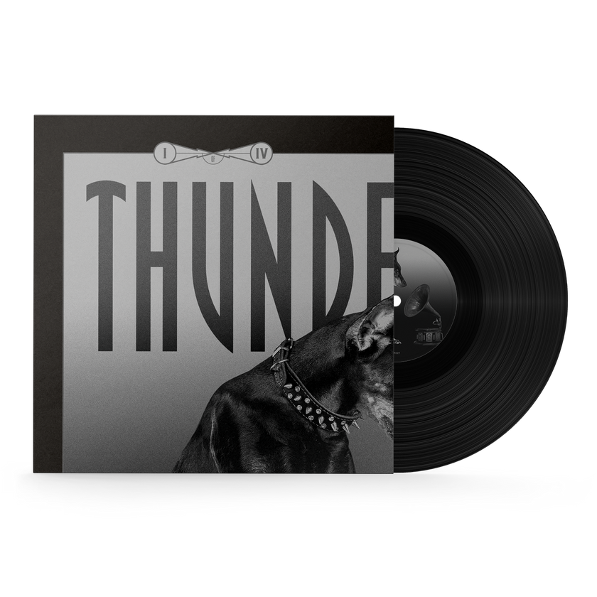 THUNDERDOME VINYL SERIES I / IV [NIET MEER GERBUIKEN WAS VOOR INTERNE ORDERS] - gabber hardcore merchandise