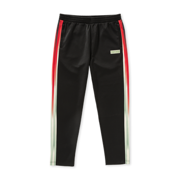 Thunderdome FTS Track pants image