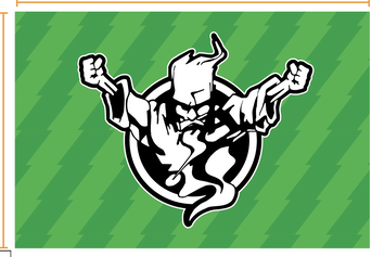 Thunderdome Flag Friday グリーン ユニセックス image